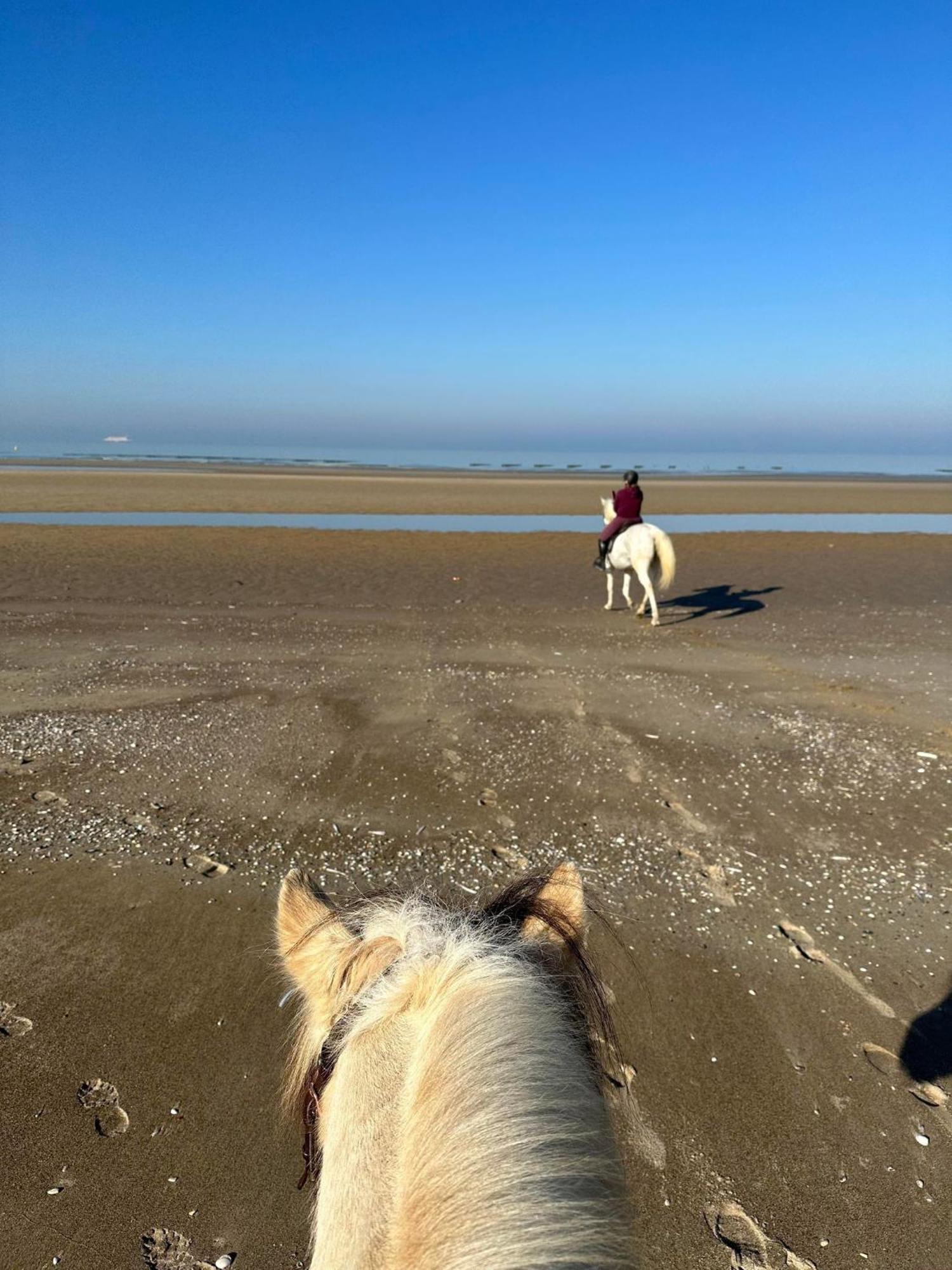 Ferme Equestre Leilighet Oye-Plage Eksteriør bilde